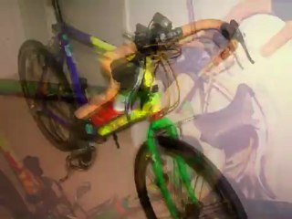 Building the Cassowary