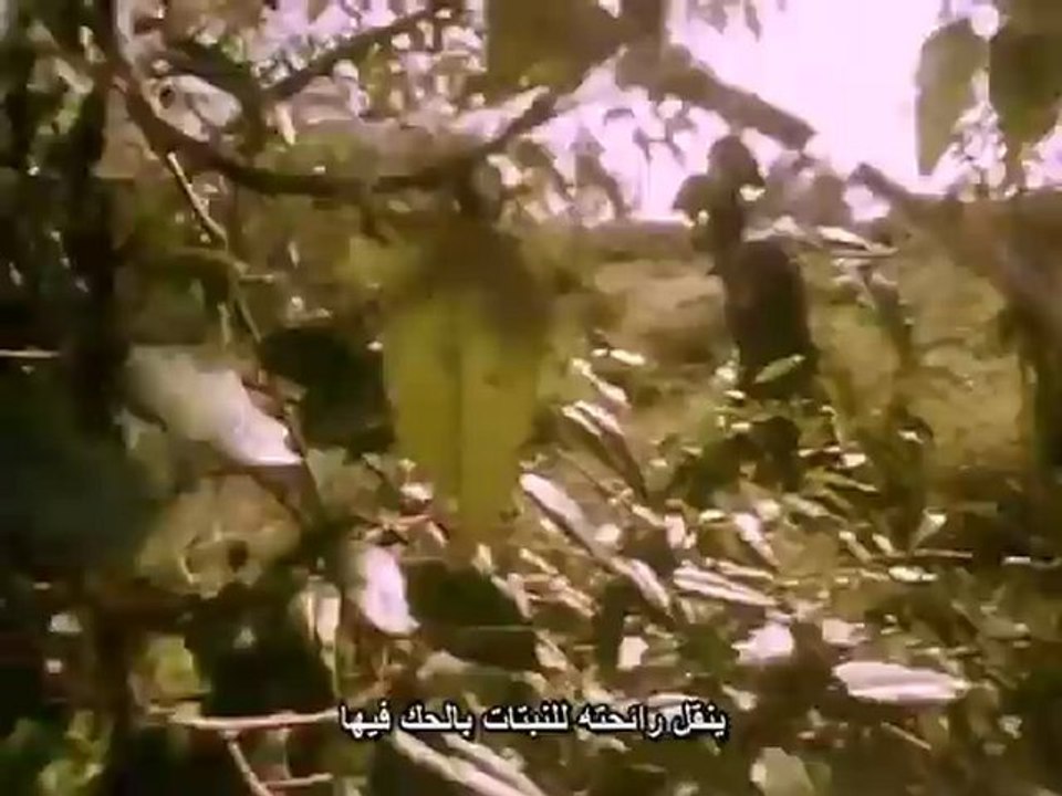 الحواس الخارقة الحلقة الرابعة الروائح الخارقة