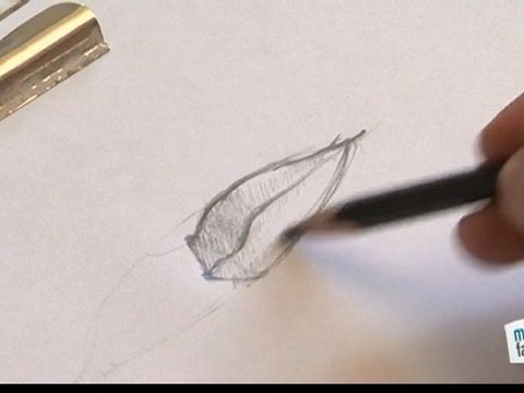 Comment dessiner une bouche ?