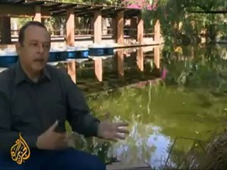 Activists seek cooler place for polar bear