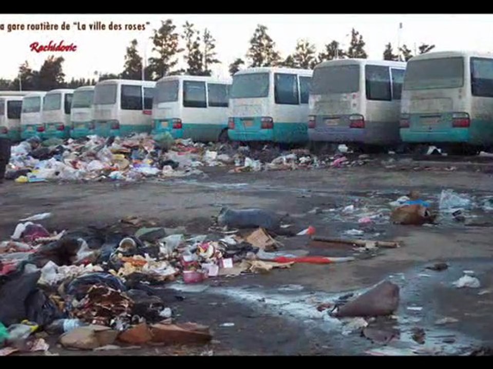 Cinquantenaire de l'Algérie indépte : réalisations FLN à BLIDA...