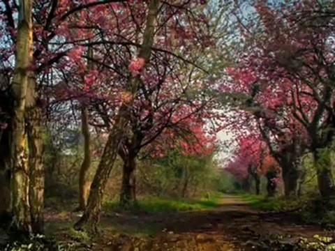 CENGİZ ÖZKAN-BAHÇEDE BİR BÜLBÜL AĞLAR