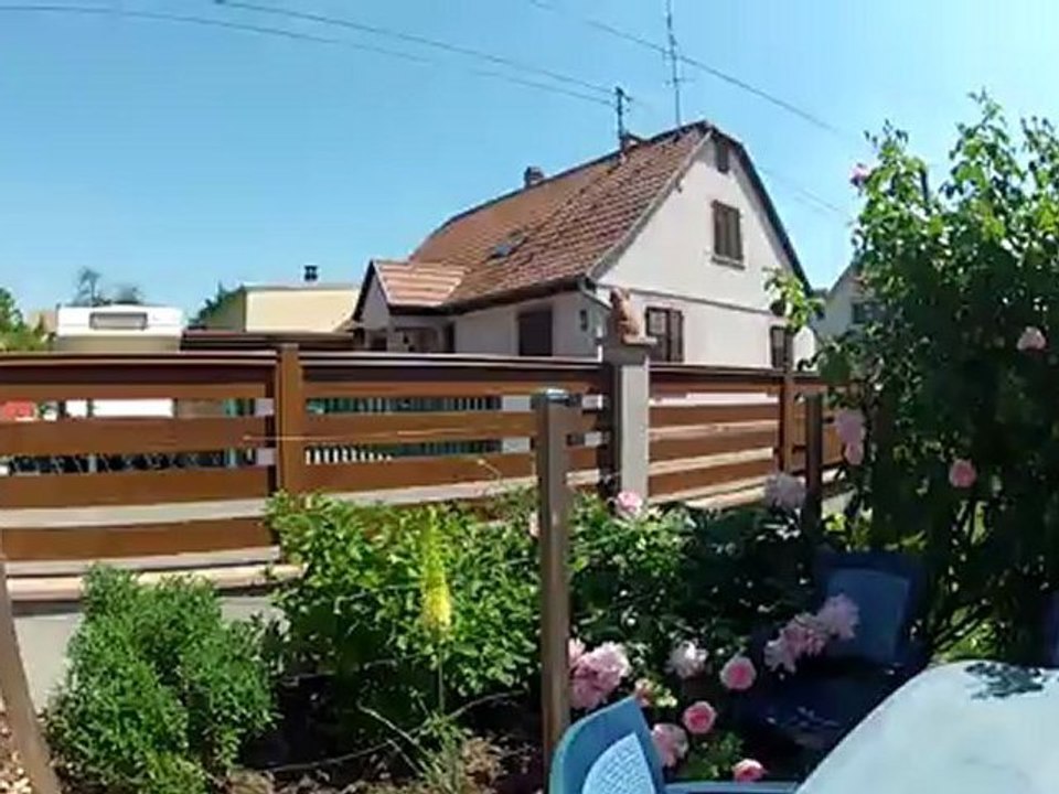 Trädgård