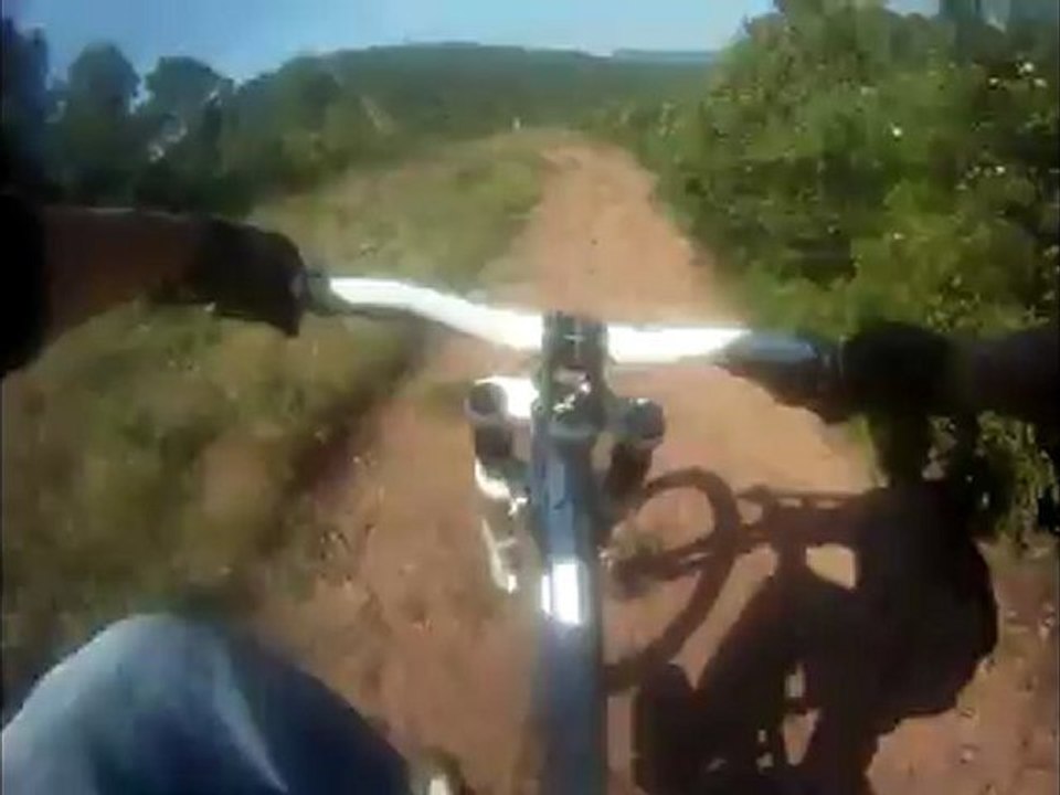 vtt mongoose