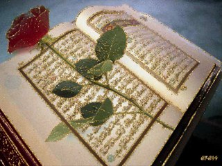 mewlüd a şerif kurmanci