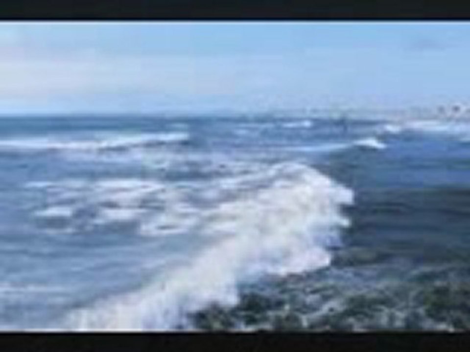 西島三重子　冬のかもめ
