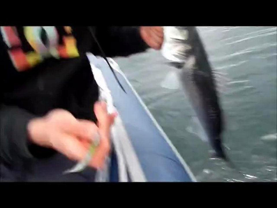 Too Aïe Fishing - La 1 ère en mode prospection sur les Glénan ...