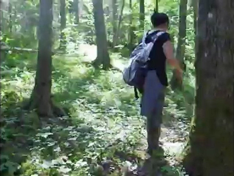 Hyon vs wild