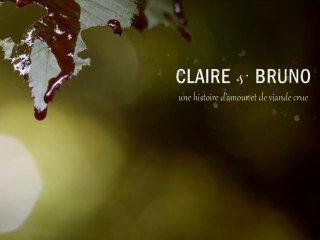 Claire & Bruno - Teaser "metal milice"