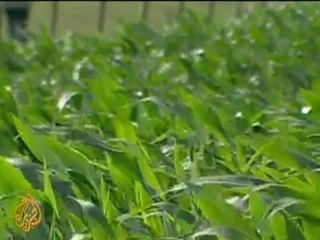 Guantanamo inmates hope for external help - 21 Jul 09