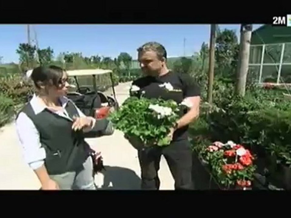 دار وديكور : الأحد 27 ماي