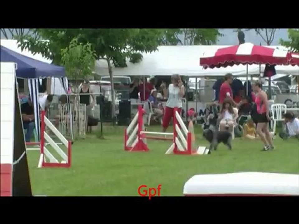 Buck Agility Aubagne  27/05/12