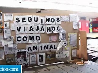 noticiaya.com - martin fierro oro el puntero