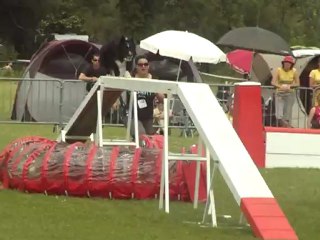 bandy trophée 2012 3eme manche