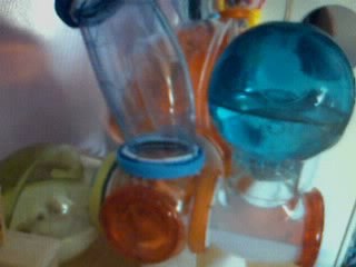 La cage de mon hamster