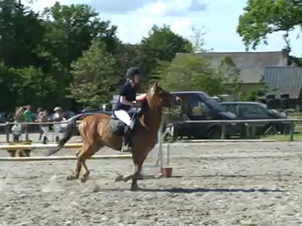 Tango & Nolwenn 27 mai 2012 en 80cm