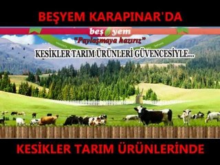 KESİKLER TARIM ÜRÜNLERİ LTD. ŞTİ.