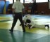 championnat jujitsu mai 2012