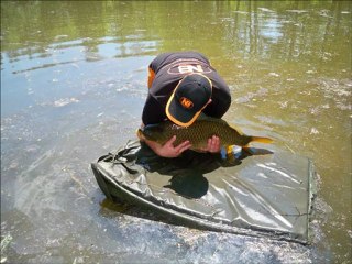 session éclair II - Le retour