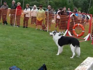 First agility samedi Trophée par équipe Narcastet 2012