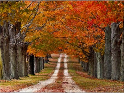 RONDO VENEZIANO ( ARAZZI / MICHELDUC1 : Yamaha Tyros 2 )