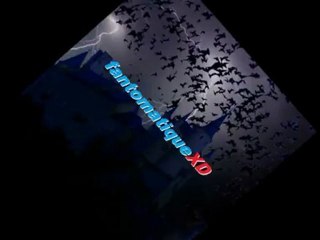 flashscop MSR dans seatown