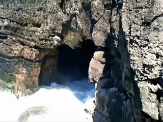 El heroe de las plantas...