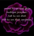 Somali Lyrics - Hees - Hab ku soo dheh cashaqa By Csbdi Diini