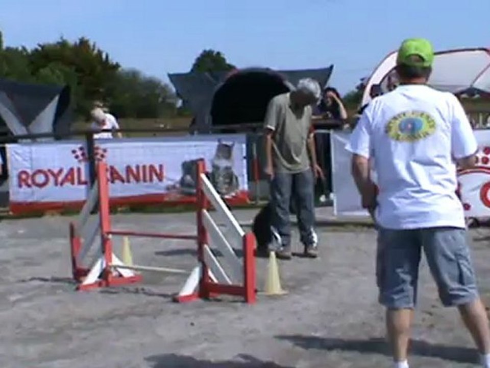 Beep Bepp 1er degré agility