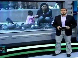 Perú: superávit fiscal de 7% en primer trimestre de 2012