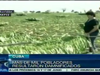 Habitantes de Sancti Spíritus intentan salvar sus cultivos