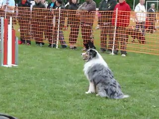 Awak agility samedi Trophée par équipe Narcastet 2012