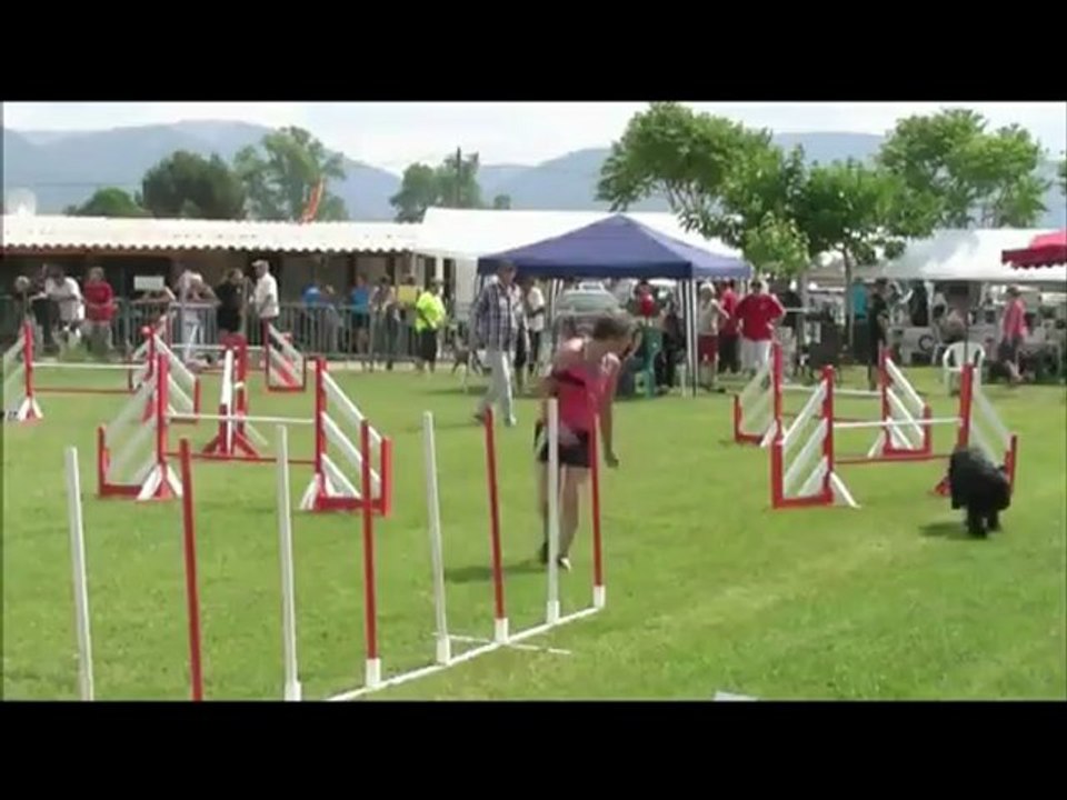 Fierous Agility Aubagne 27/05/12