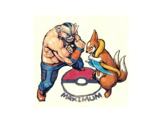 Pokemon Platine [17] : Lovis MAXIMUM CATCH !!