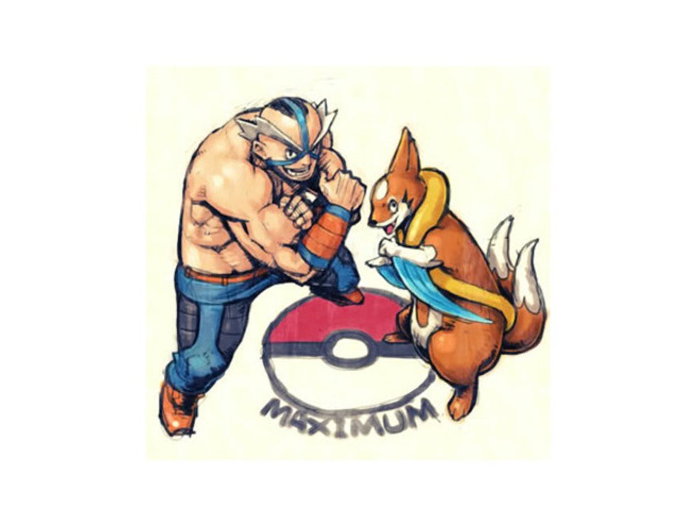 Pokemon Platine [17] : Lovis MAXIMUM CATCH !!