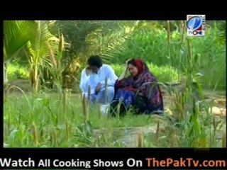 Ajnabe Shaher Kay Ajnabe Rasty By Tvone [Episode 12] - Part 2
