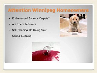 Insider's Guide To Hiring A Winnipeg Carpet Cleaner