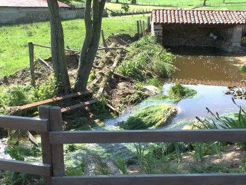 Flash spécial Violent orage