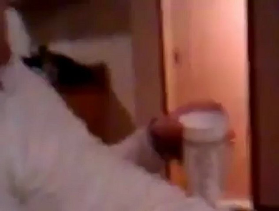 Big Mouth Punk Gets Knocked Out -