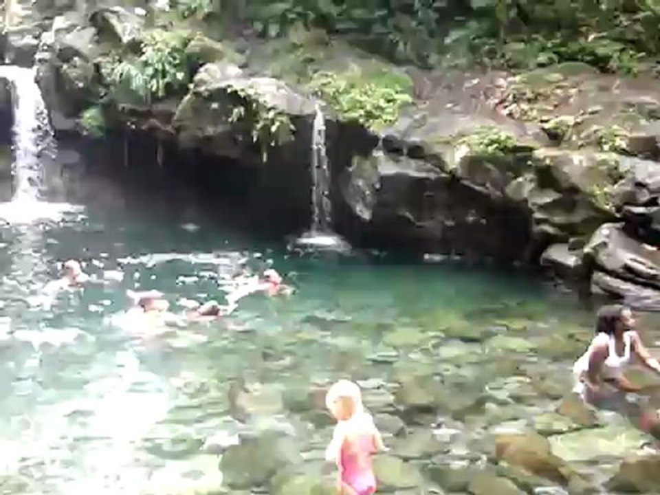 paradise 1