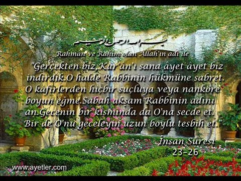 LYS 2012 sınavı lys'ye giris, About Lys, hayatkuran.sozlukspot.com