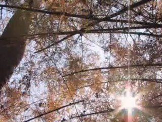 People & Power- Cambodia trials revisited - 23 Sep 09-Pt 2