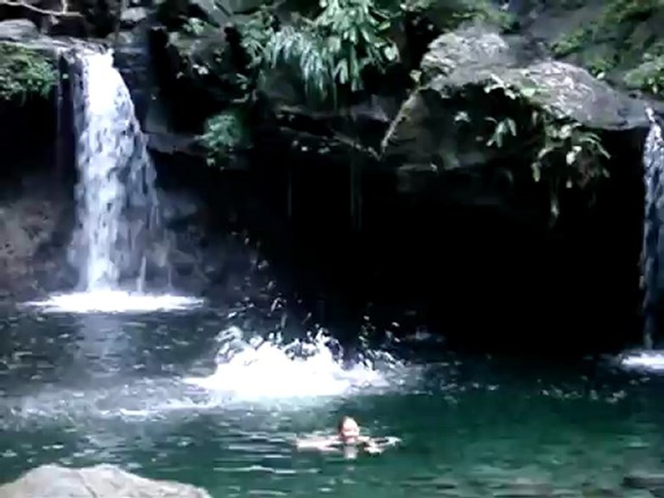 paradise 2
