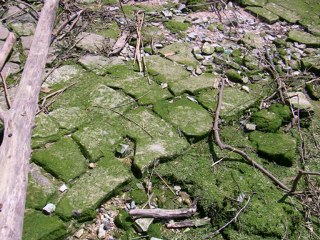 Port de Bayonne mai 2012 sur 3 chansons de Maurice Fanon
