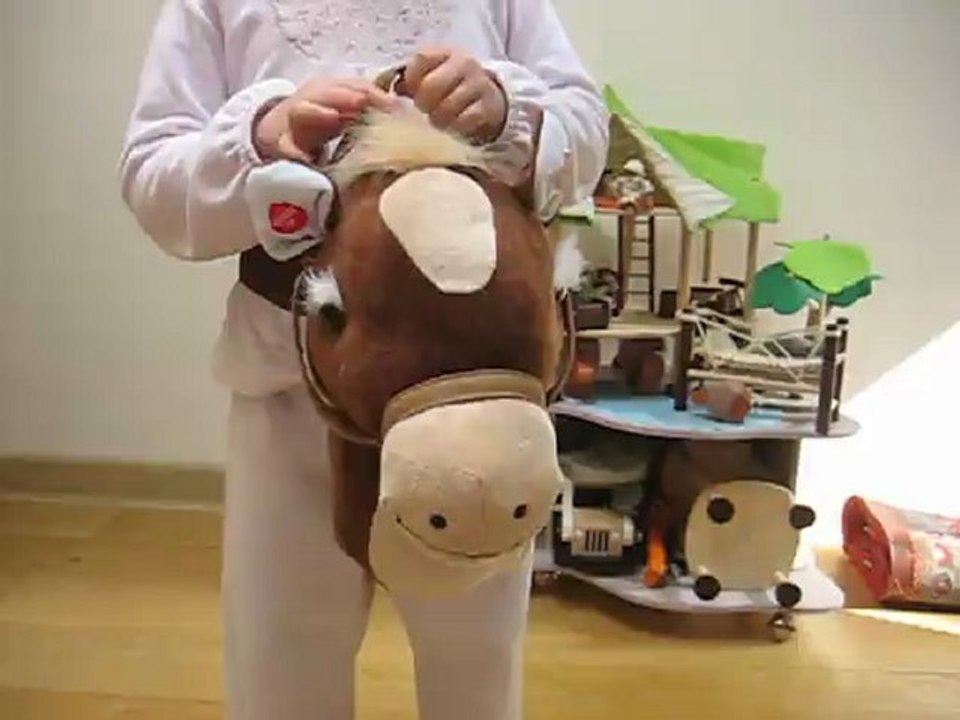 poney ceinture 024