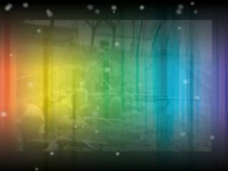 CSENDES  KIS  LEGÉNY  LAKÁSBAN