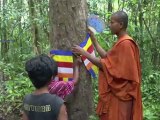 مواطنون كمبوديون ينظمون دوريات لحماية غاباتهم