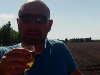 Network Marketing VT- Should You Join NMVT ?