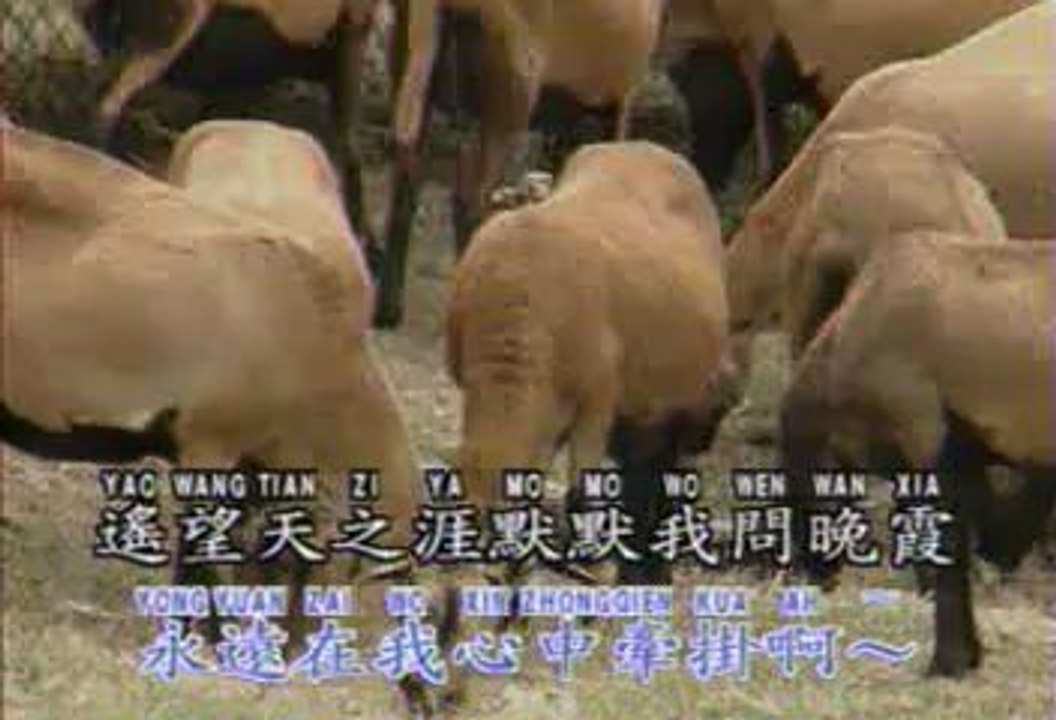 陈思安： 海誓山盟