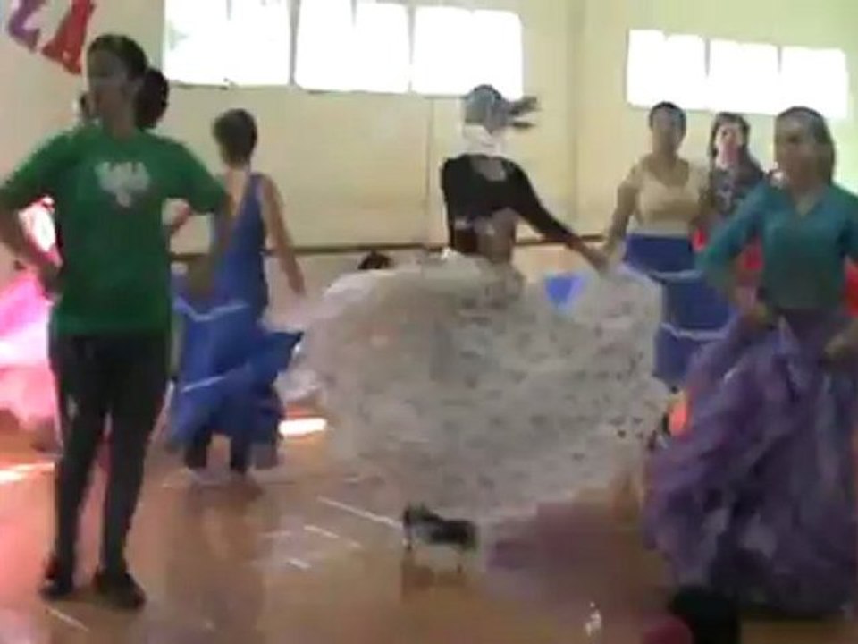 cours danses trad grandes